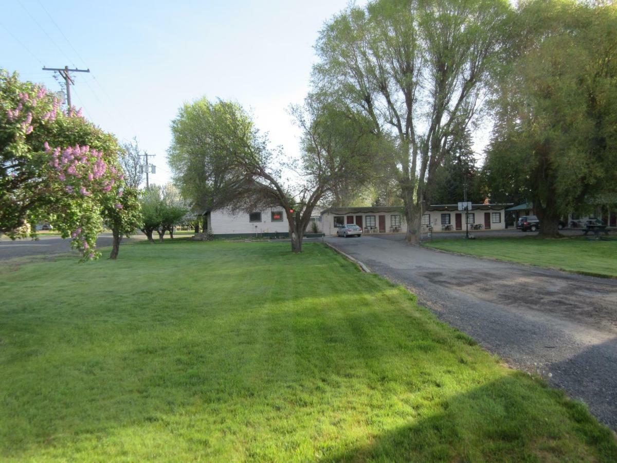 The Willows Motel Wilbur Exterior photo